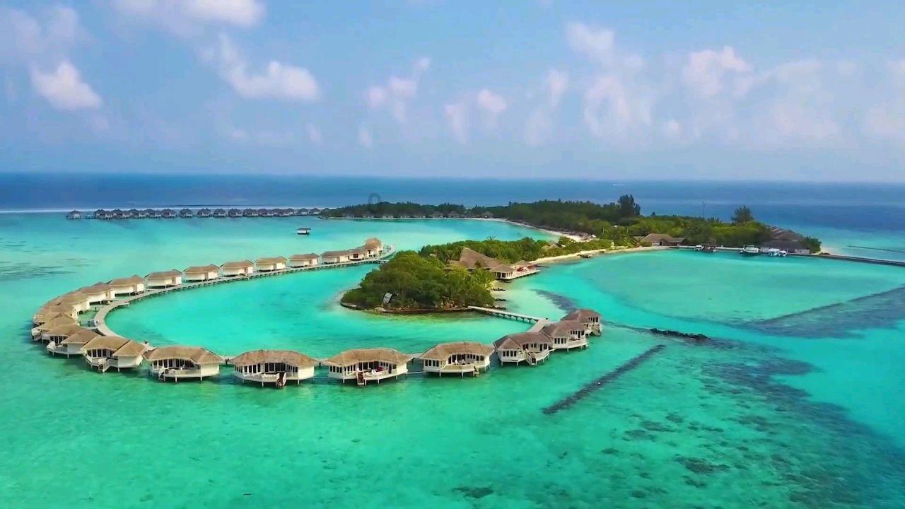 跳动的圆球