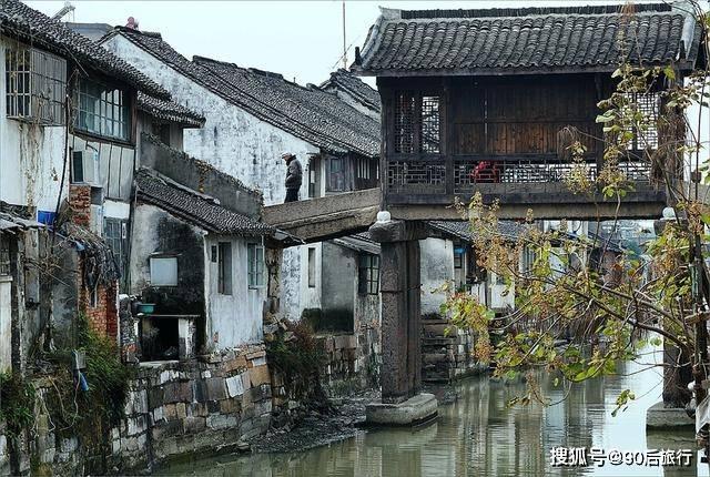 向日葵为什么会跟着太阳游戏画面